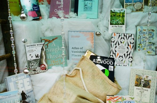 AtlasinStokeNewingtonBookshopXmasWindow.JPG